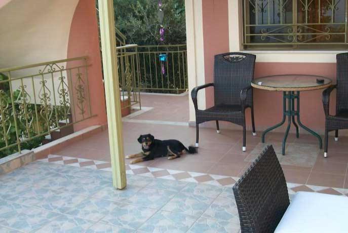 Ramona Appartement Lourdata  Buitenkant foto